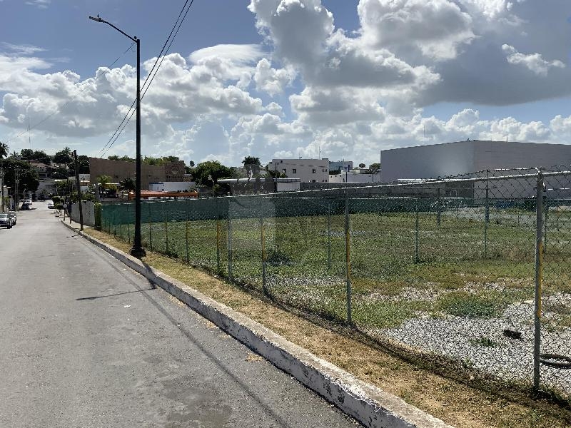 Propiedad en renta en colonia Lomas de Rosales, Tampico