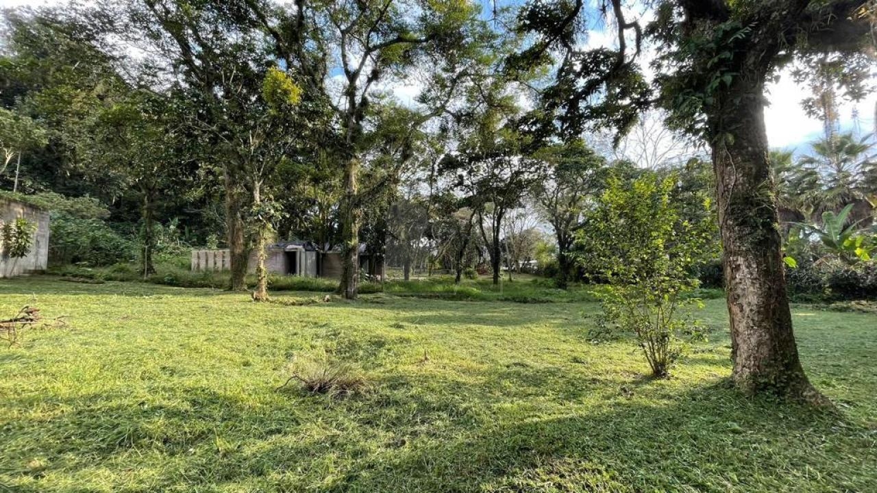 Gallery image 1