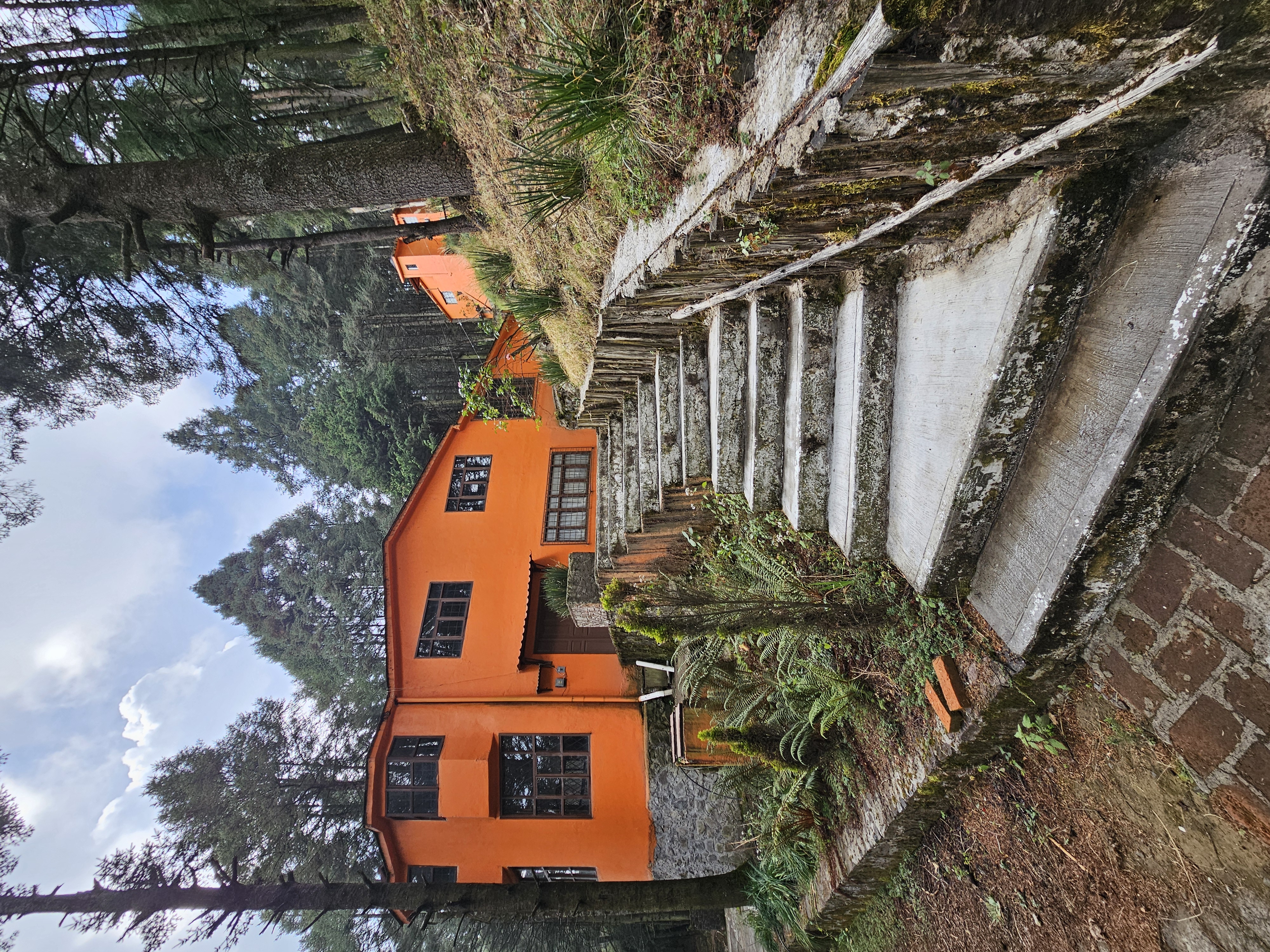 Gallery image 1