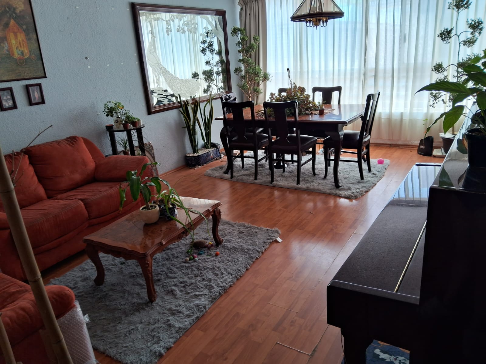 Gallery image 1
