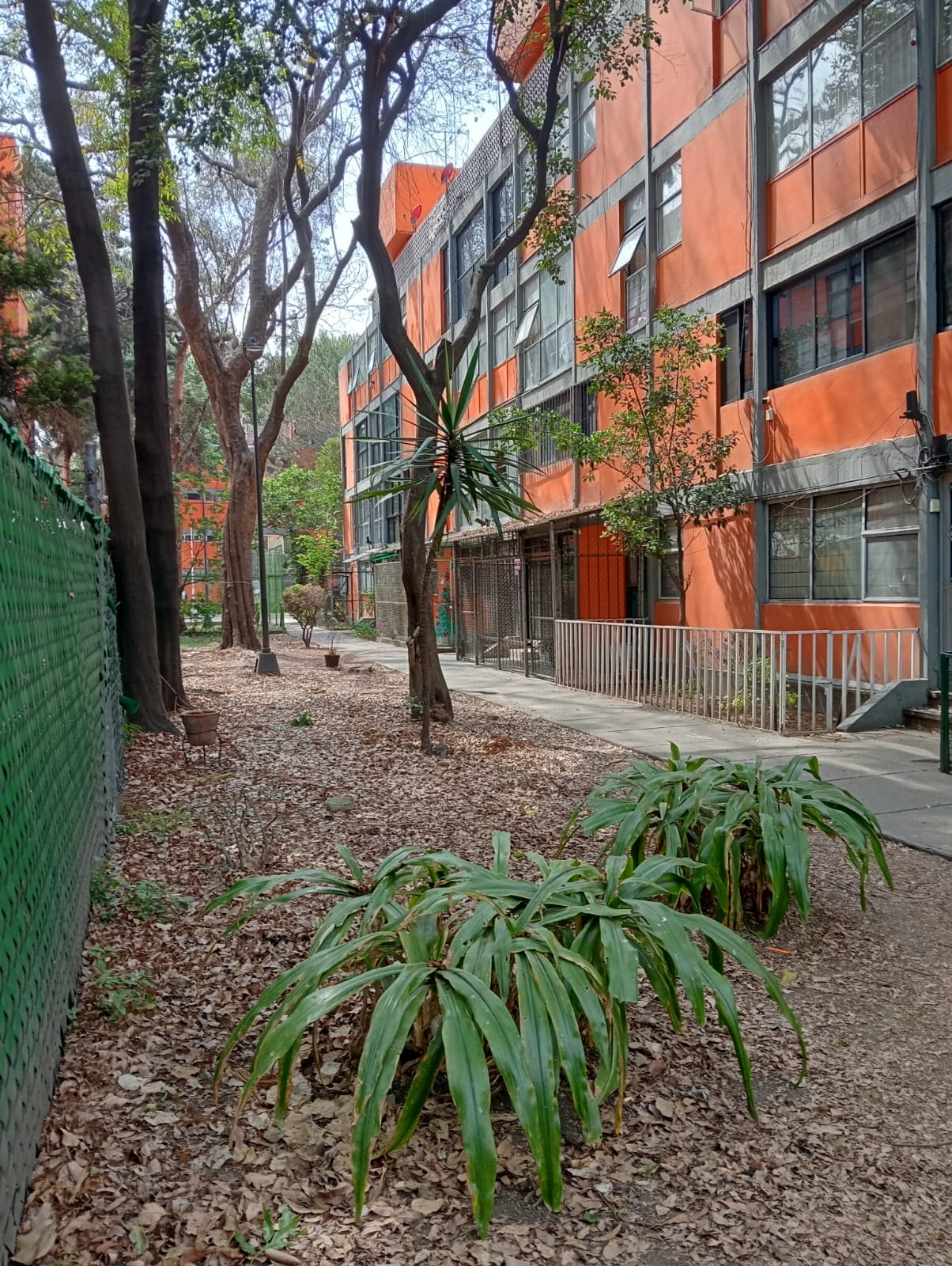 Gallery image 1