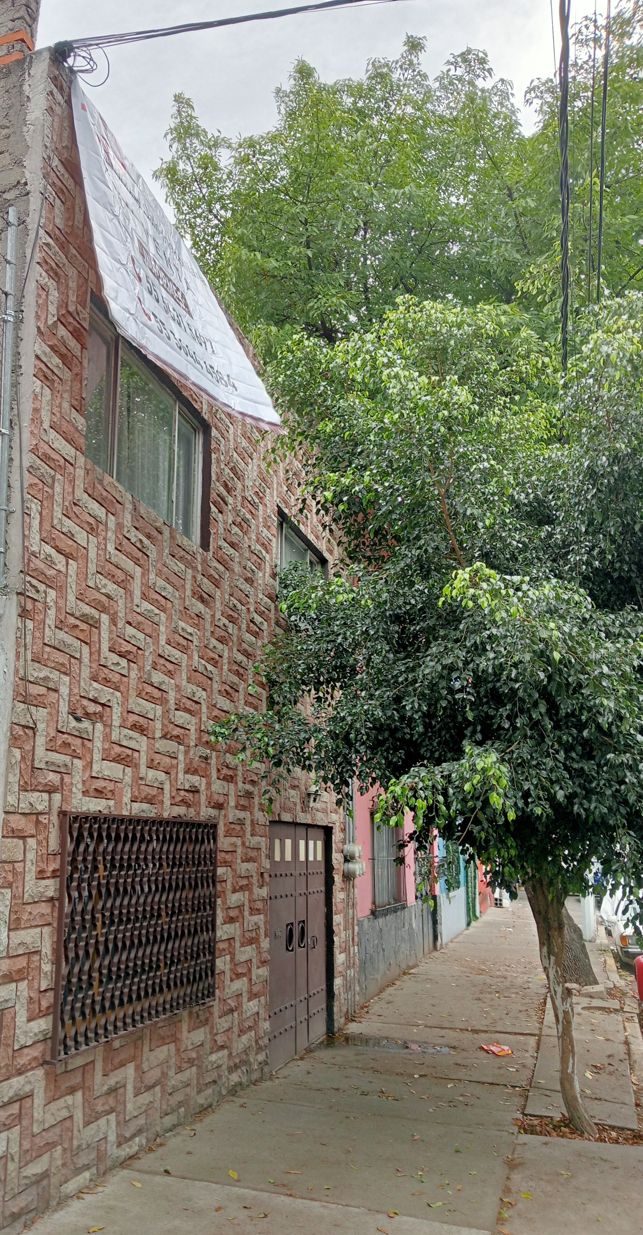 Gallery image 1