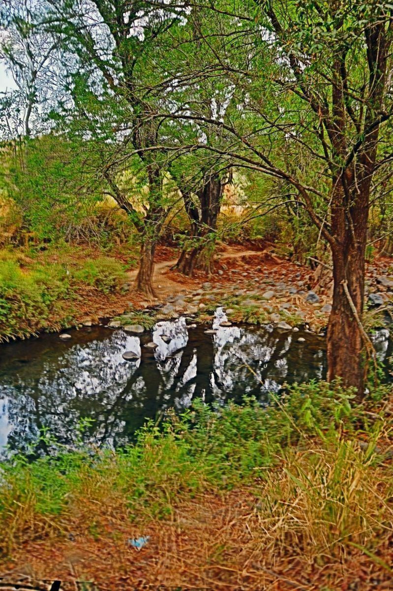 Gallery image 2