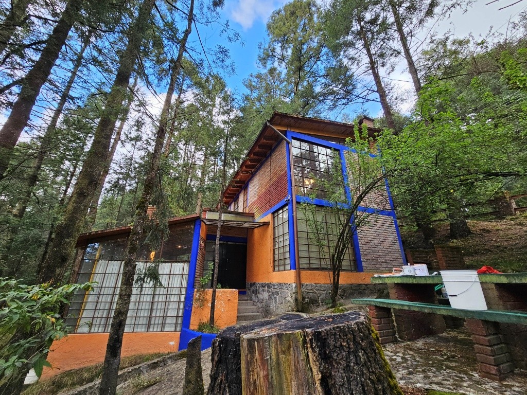 Gallery image 1