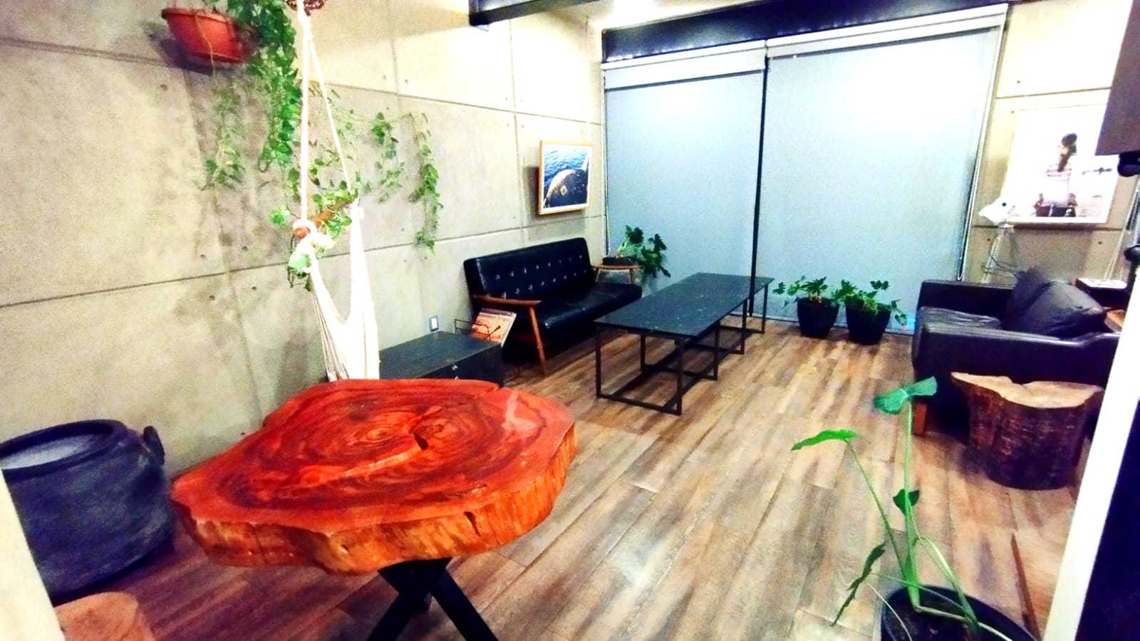 Gallery image 3