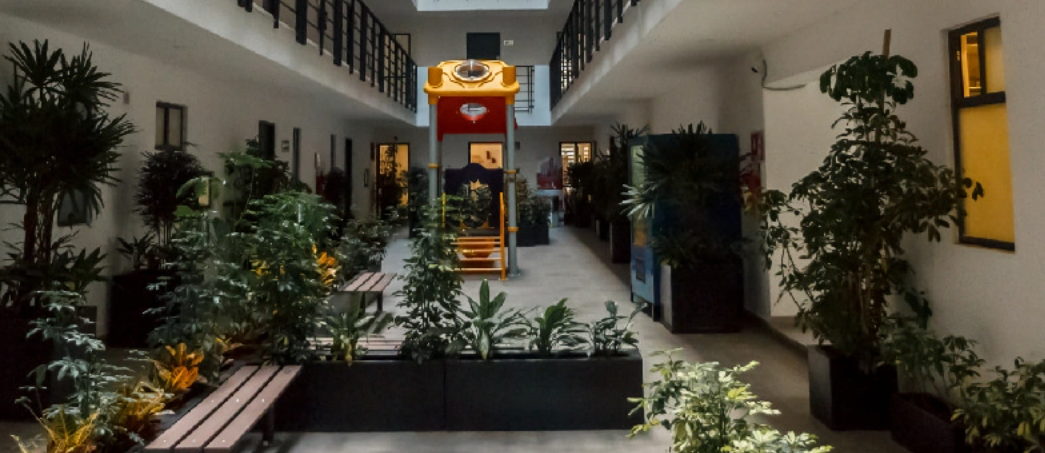 Gallery image 3