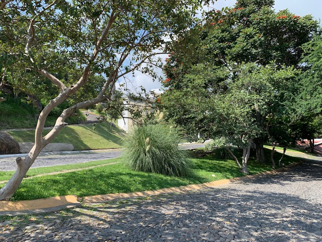 Gallery image 1