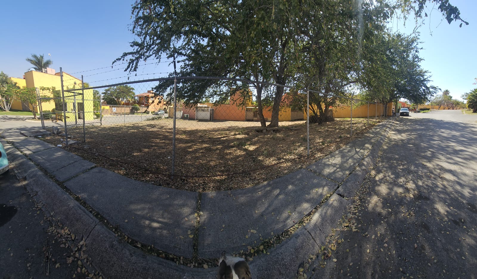 Gallery image 1
