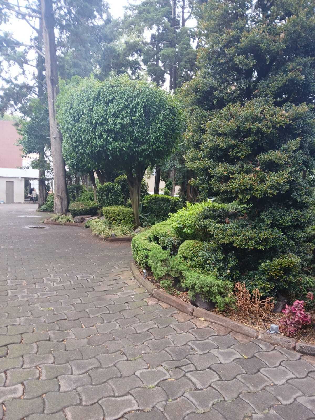 Gallery image 2