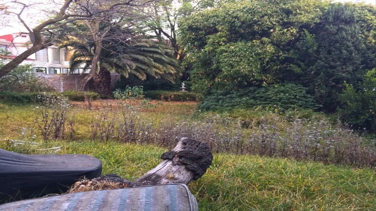 Gallery image 1